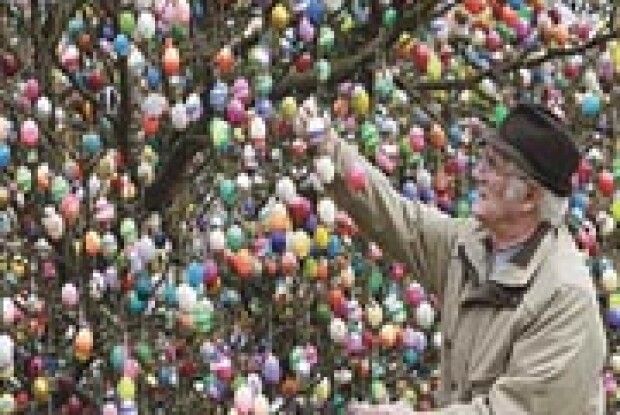 НА ДЕРЕВІ РОСТУТЬ... ПИСАНКИ
