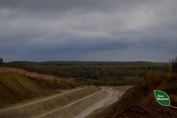 На Рівненщині висаджують 40 тисяч саджанців на місці видобутку крейди 