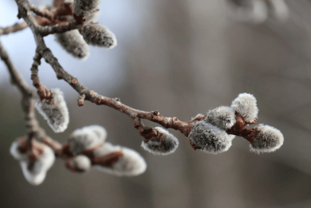 Якою буде погода в найближчі дні на Волині