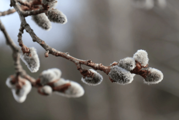 Якою буде погода в ці дні на Волині