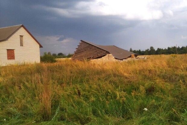 Хлів зрівняло з землею, переламало електроопору: у селі на Волині буря наробила збитків (Фото, відео)