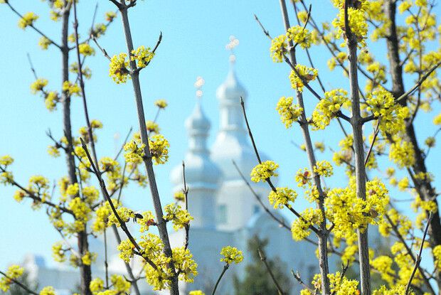 Не задрімати б у духовних лінощах