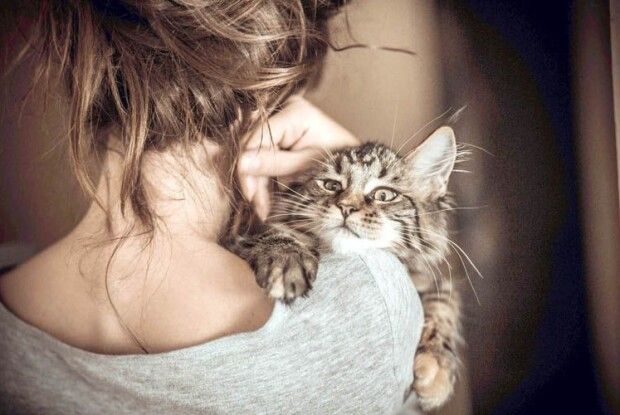 Коли не можна простити навіть мамі… Ранкова історія