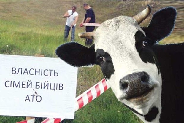Корови проти атовців