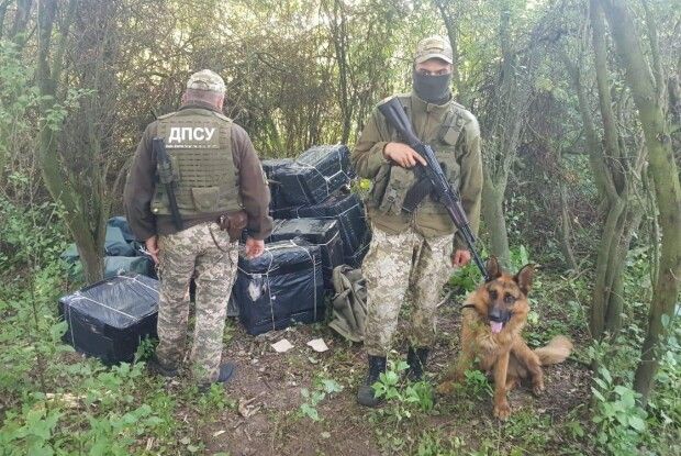 На Волині прикордонники зруйнували плани контрабандистів перемістити сигарети до країн ЄС (Фото)
