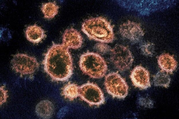 У Італії виявили новий штам коронавірусу «Омікрон»