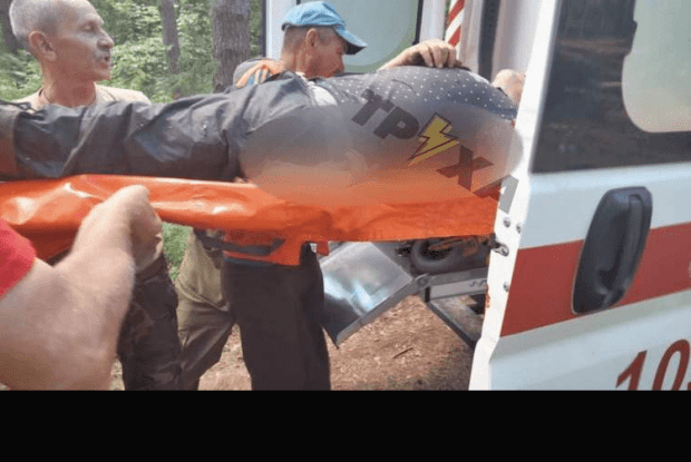 На Волині на чоловіка впало велике дерево