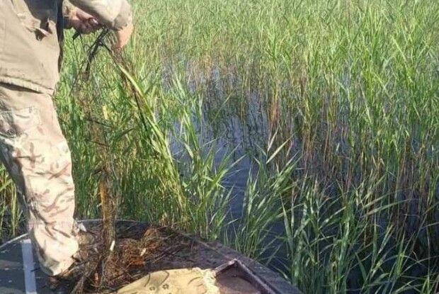 На водоймах нацпарку на Волині виявили 6 сіток та порушника рибальства 