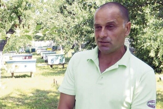 І мед дають, і не кусають: наш пасічник вивів «спокійну» породу бджіл