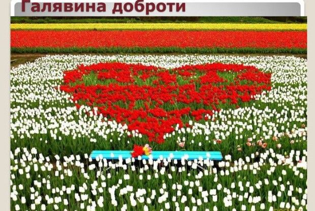 На Горохівщині вчителі зустрілися з батьками на Галявині доброти
