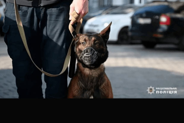 Чому у Рівному значно побільшає поліцейських на вулицях