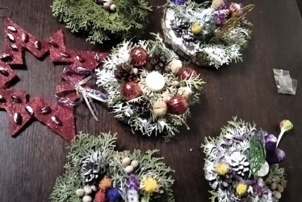 Замість ялинки – зимова композиція прикрашатиме оселі юних волинських природолюбів (Фото)