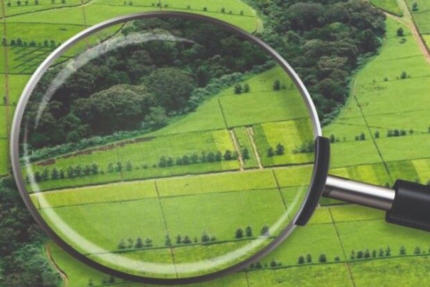 Хотіли збудувати заправку: на Волині наполягають на поверненні земельної ділянки вартістю 8 мільйонів гривень громаді 