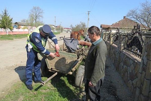На Волині не сталося б біди, якби обладнав підводу світловідбиваючими приладами…