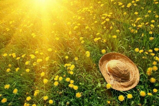 Актуальна погода на місяць в Луцьку від сервісу Pogodnik