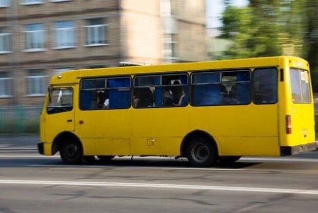 Маршрутка потрапила у ДТП: водій автомобіля не виконав вимогу дорожнього знаку, відбулося зіткнення (Фото)