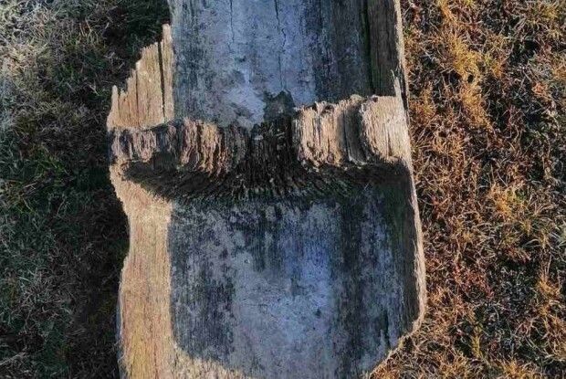 На Волині досліджують човен-довбанку віком понад 1600 років