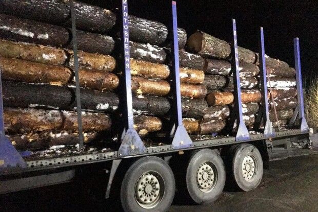 Жителя Волині упіймали в сусідній області з повним МАЗом «лівої» соснини