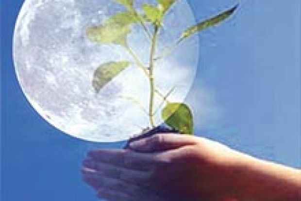 ЯК МІСЯЦЬ ВПЛИВАЄ НА РОСЛИНИ?