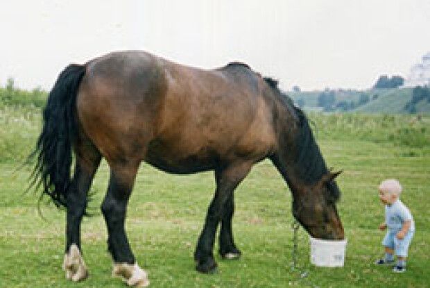 ФОТО НА КОНКУРС: до зеленої травички  ще і свіжої водички