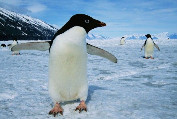 На Волині морози не відступають: у Луцьку вночі до -20°