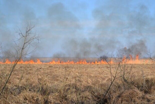 На Волині рятувальники ліквідували 28 пожеж