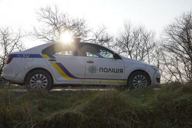 Розгніваний п'яний водій лопатою розтрощив автомобіль патрульних (Відео)