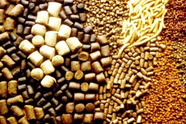 На Волині побудують новий комбікормовий завод