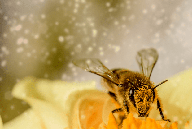 Погода на вівторок: 29 червня приходить «зріле» літо