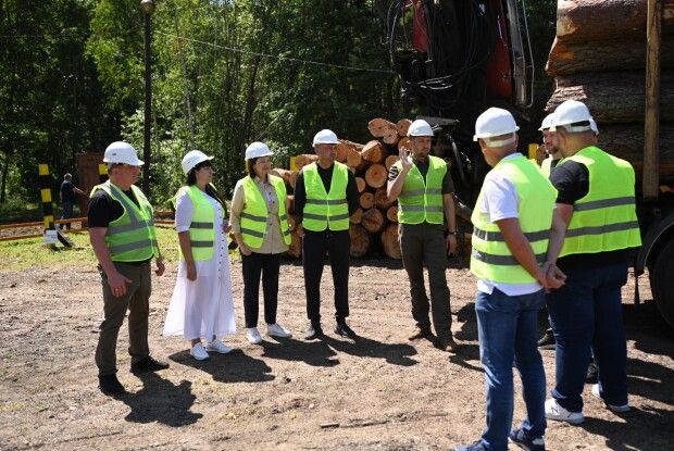 Чи нашкодить Волині зменшення кількості лісгоспів і скорочення працівників?