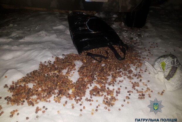 У Сарнах – бурштин на снігу