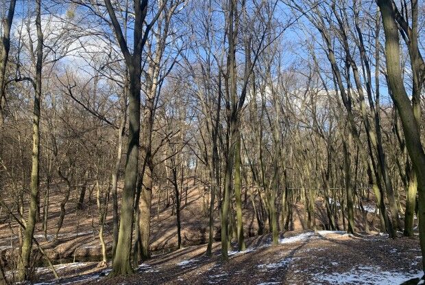 І де ж та волинська весна?