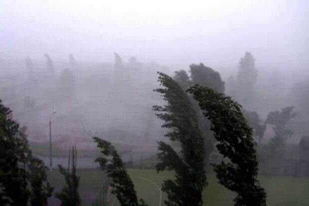 Сьогодні на Волині можливі небезпечні пориви вітру