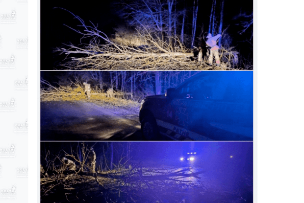 На Волині дерево заблокувало рух 