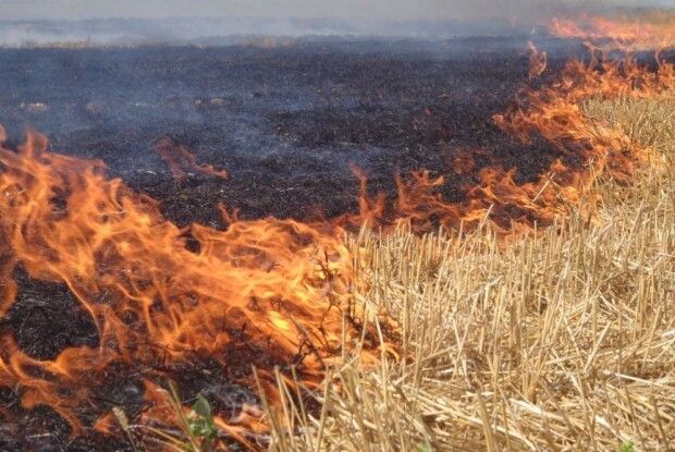На Рожищенщині горіли стерня і покоси