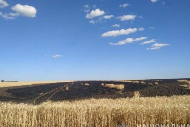 Діти спалили поле пшениці