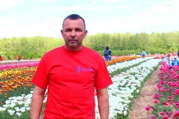 Розкішне тюльпанове поле цвістиме й у 2019-му!