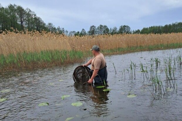 На озерах Волині триває «зачистка» водойм