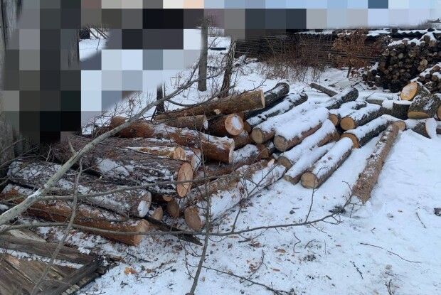 На Камінь-Каширщині спіймали крадія лісу