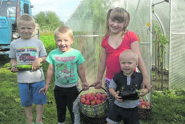 «Теплиця повинна бути в кожного господаря»