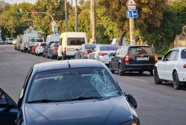 У Житомирі чоловік з дитиною потрапили під колеса автомобіля