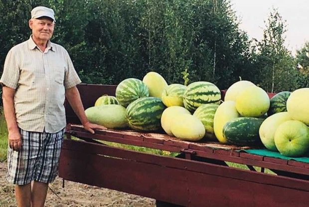 «Для кавунів головне – ​схопити перше тепло»