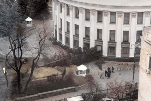 Величезна ялина атакувала будівлю Верховної Ради (фото)