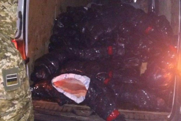 Прикордонники затримали мікроавтобус з 3,3 тоннами телячих туш, які планували переправити до Білорусі