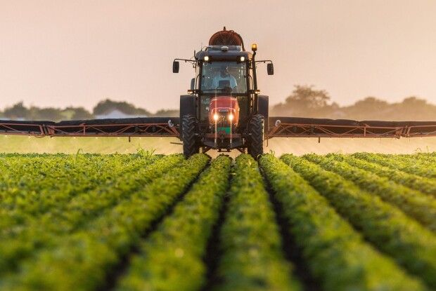 Пасічників просять бути обережними: незабаром у громаді на Волині окроплюватимуть рослини!