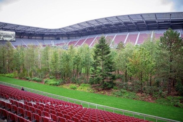 В Австрії на футбольному стадіоні висадили 300 дерев