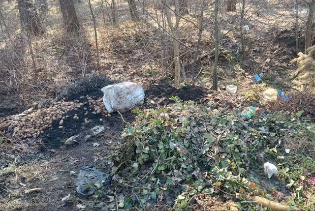 Лісок у колишньому райцентрі на Волині перетворюється на смітник