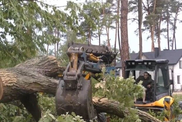 Негода на Львівщині забрала життя молодої жінки – на її хату впало дерево