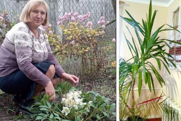 На Волині квіти, подаровані з любов’ю вчителям, цвітуть навіть морозними днями