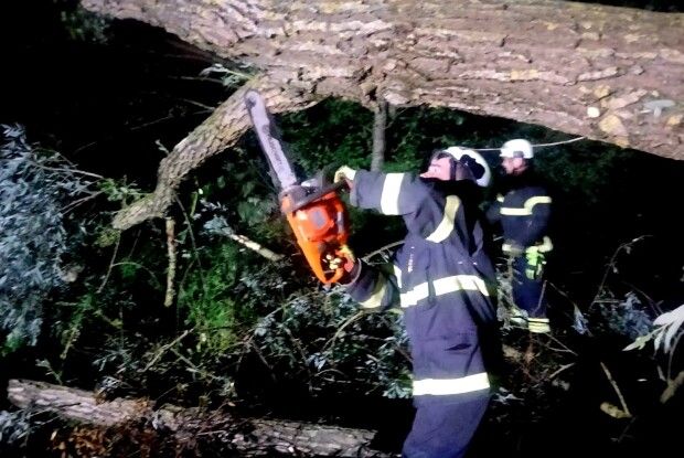 На Волині на дорогу впало дерево